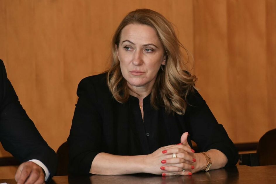 Paunović: Vlada pokazala odlučnost da se bavi otvorenim problemima