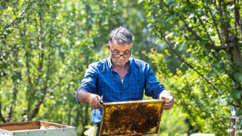 Pčelari sa Kosova u problemu zbog vremena