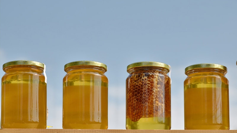 Pčelari se udružili i postigli rekordan izvoz i cenu meda