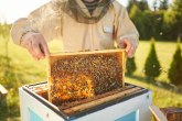 Pčelari u Novom Pazaru dobili nove košnice VIDEO