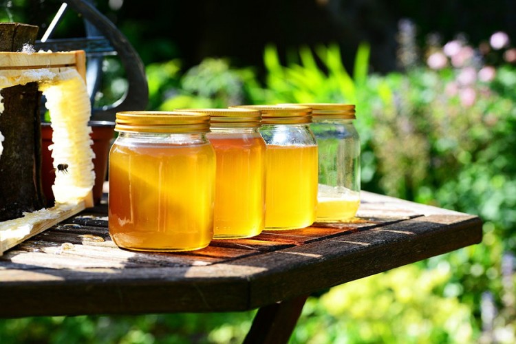 Pčelari zadovoljno trljaju ruke: Prinos bagremovog meda do 15 kg po košnici