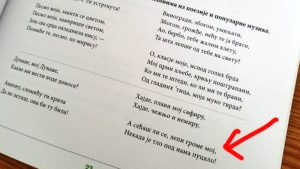 Pesma Cece Ražnatović nije greškom u školskom udžbeniku