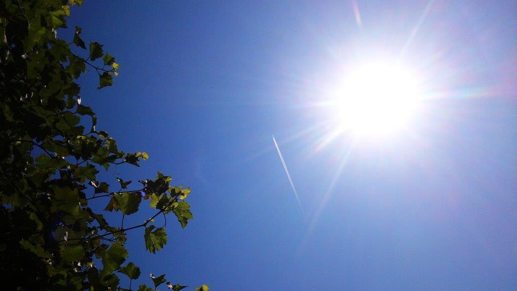 Peto najtoplije leto u Srbiji