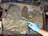 Petorica mladića uhapšena u Pirotu zbog prodaje više od kilograma marihuane