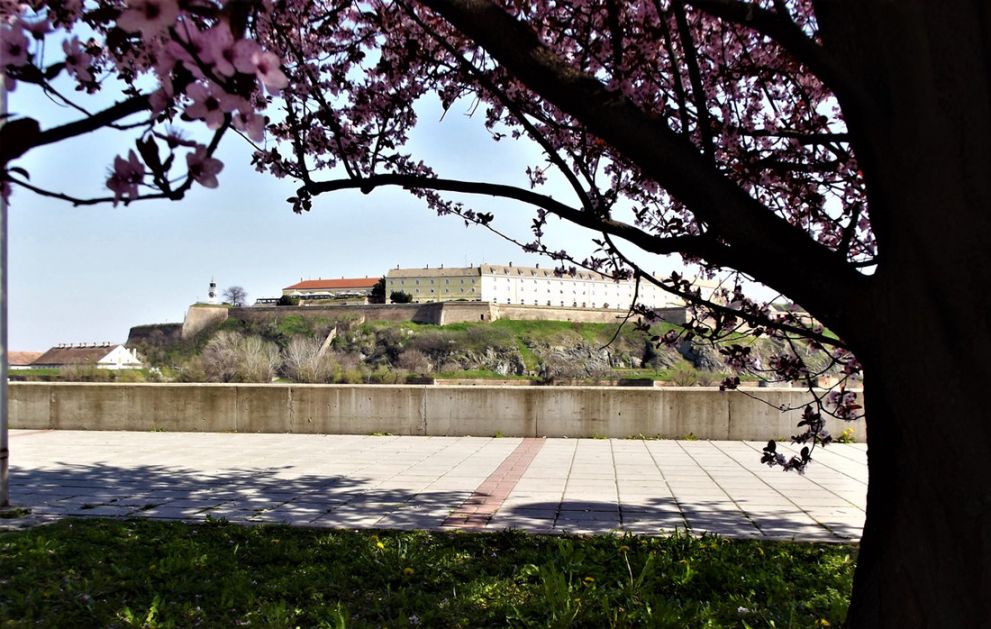 Petrovaradinska tvrđava, Novosadski vinski put, vojvođanska kuhinja - šta još Novi Sad nudi turistima?
