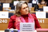Petrovska: Ruske diplomate pokušale su da se mešaju u strateške interese S.Makedonije