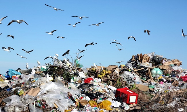 Plastični otpad: šta vi možete da uradite?
