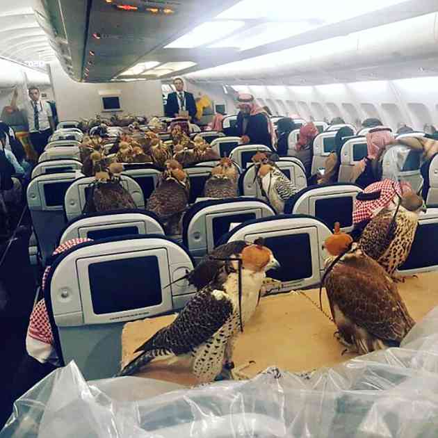 Platio je 80 mesta u avionu za svoje jastrebove, svi putnici gledali samo u njihova krila (FOTO)
