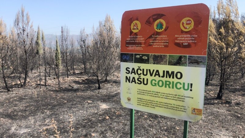 Pluća Podgorice poslije požara