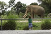 Po želji pokojnog muža: Ostavlja 22 miliona dolara zoološkom vrtu