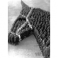 Pocast konjima nastradalim tokom Velikog rata