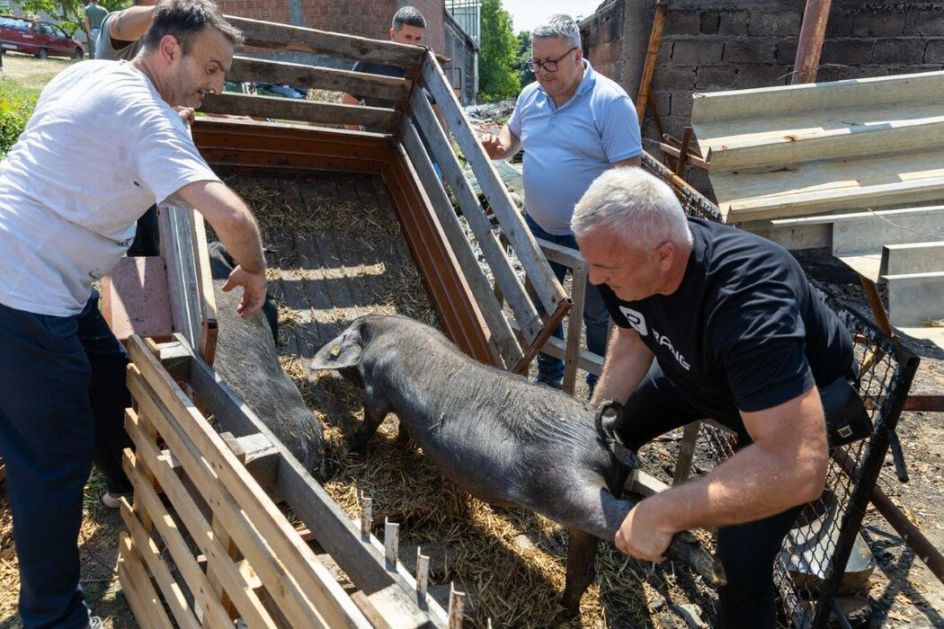 Počela podela pomoći poljoprivrednicima koji su pretrpeli štetu u požarima