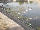 Počelo čišćenje reke u centru Niša