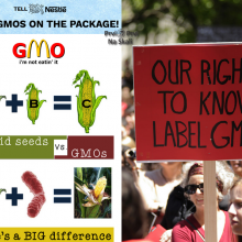 Podmukle nove tehnike: zeleni GMO, CMS u bio-proizvodnji...