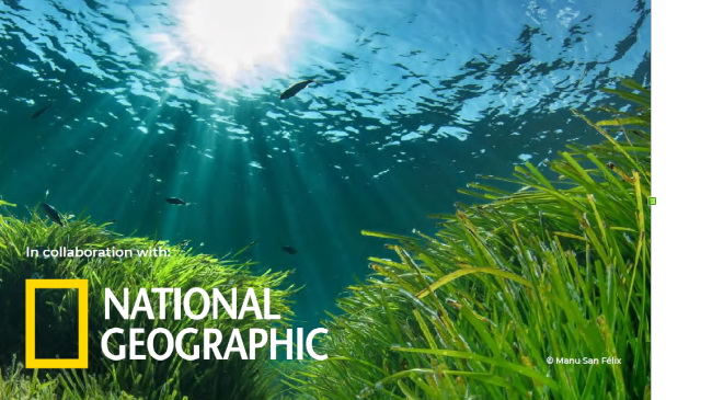 Podržite Springfield i National Geographic u očuvanju podvodnih livada