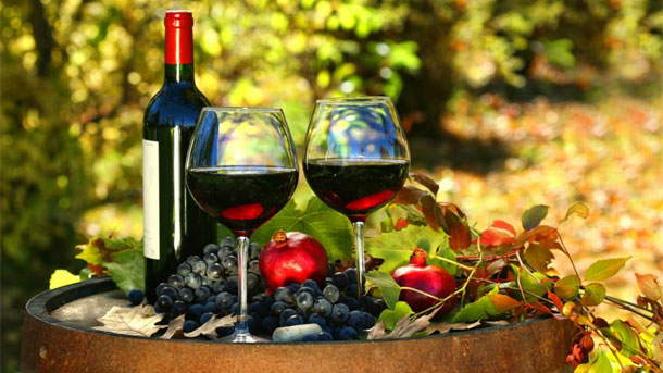 Podstiču vinogradarstvo: Besplatne sadnice za vinograde