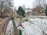 Pojedina svrljiška sela zbog leda i snega ostala bez struje, proglašena vanredna situacija