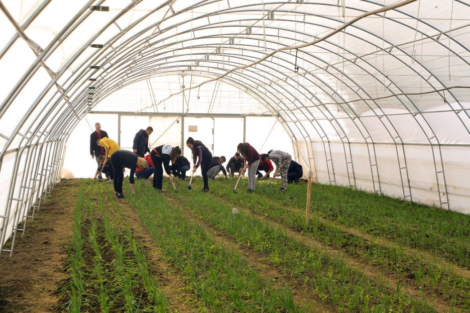Poljoprivredna škola u Futogu dobila savremeni plastenik