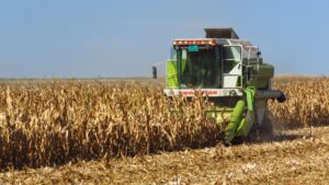 Poljoprivrednici: Suša odlaže prolećnu setvu u Srbiji