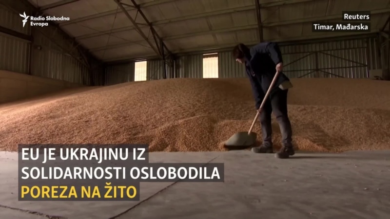 Poljoprivrednici srednje Europe pod pritiskom ukrajinskog žita 