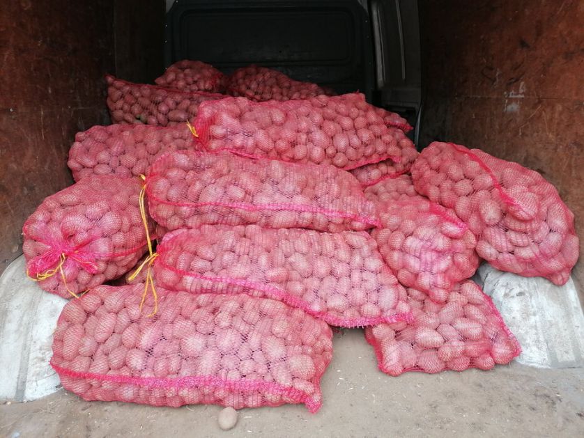 Poljoprivredno-veterinarska škola u Rekovcu donirala 1.300 kilograma krompira