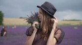 Pomama za lavandom: kako uzgajivači zarađuju od selfija na poljima lavande