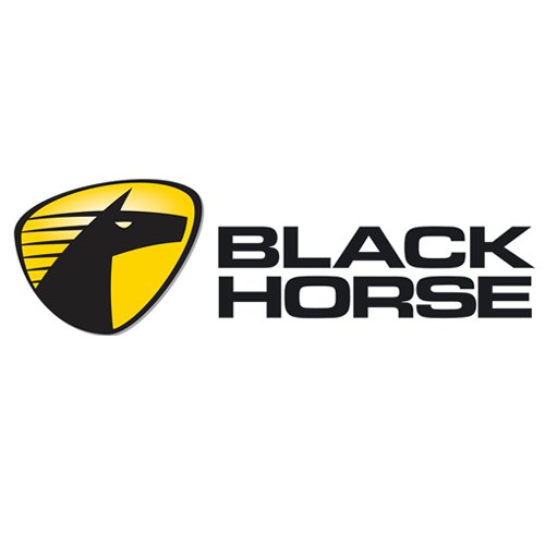 Ponovo radi Fabrika akumulatora Black Horse