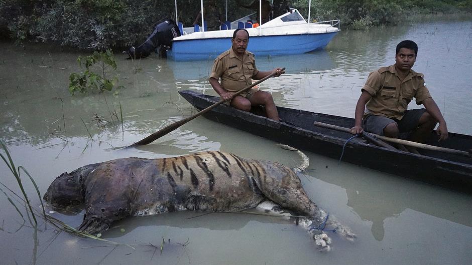 Poplava uništila rezervat u Indiji, stotine životinja mrtve