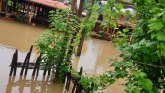 Poplave 2019: Voda je u Guči za 45 minuta nadošla, ljudi ostali zarobljeni u kućama