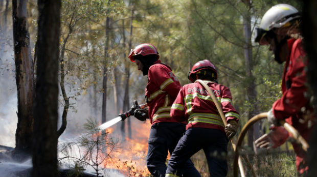 Portugalija: Borba protiv 250 šumskih požara
