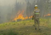 Portugalija: U požarima povređeno 8 vatrogasaca i 12 civila