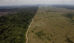 Posle pretnje Norveške, Brazil kaže da usporava krčenje šuma u Amazoniji