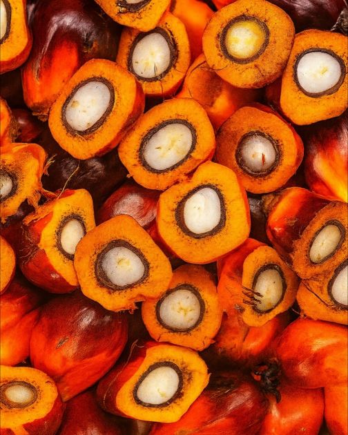 Posle ruzmarina, na scenu stupa batana ulje: Da li zaslužuje etiketu „miracle hair oil“?