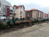 Posle višemesečne borbe stanara za uređeno naselje, u Gornjomatejevačkoj počeli radovi na ozelenjavanju 