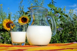 Postignut dogovor o uvozu mleka