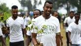 Pošumljavanje: Da li je Etiopija zasadila 350 miliona sadnica za jedan dan
