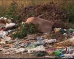 Povećan broj divljih deponija u Nišu (VIDEO)