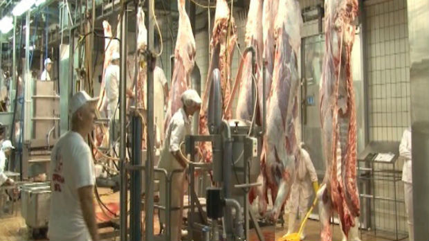 Povećanje izvoza goveđeg mesa iz Srema