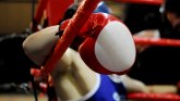 Povratak plemenite veštine: Srpski boks uzvraća udarac