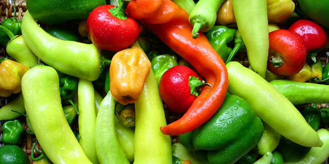 Povrtari: Potražnja za paprikom i paradajzom