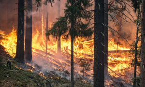 Požar divlja u okolini Prilepa: Ugrožen čuveni manastir Treskavac i okolna sela