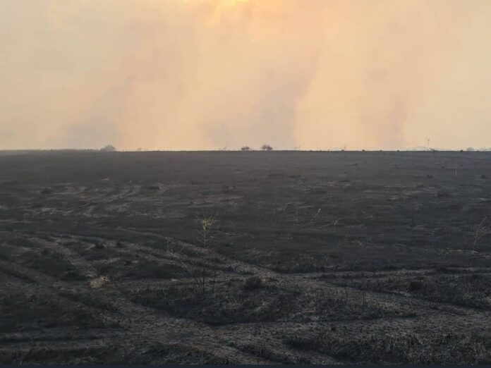 Požar i u okolini Svrljiga, ugrožena tri sela