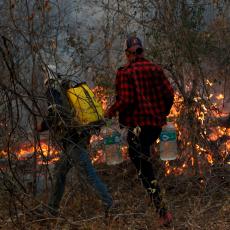 Požar iz Amazonije guta i Boliviju: Vatrena stihija se UDVOSTRUČILA, spržila šume i savane! (VIDEO/FOTO) 