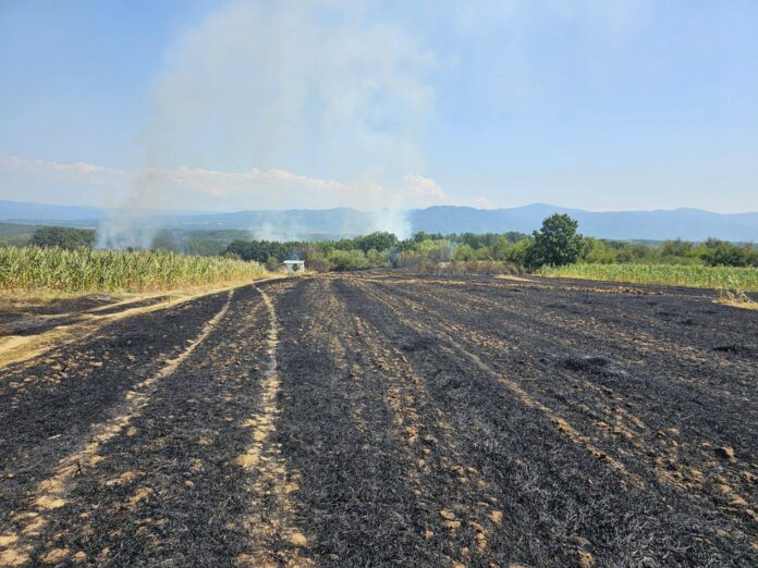 Požar iznad Gornjeg Sinkovca i Vlasa kod Leskovca