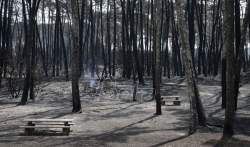 Požar kod Marseja pod kontrolom, uništeno 1.000 hektara šume (VIDEO)