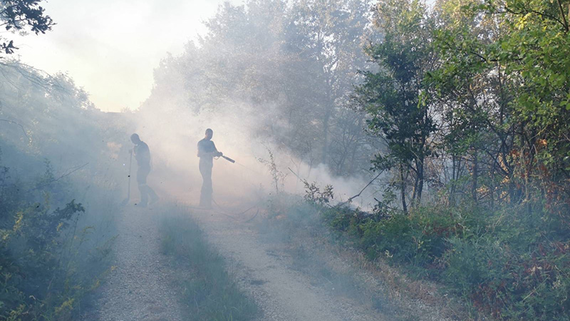 Požar kod Savače, područje oko Borskog jezera ostalo bez struje i pijaće vode