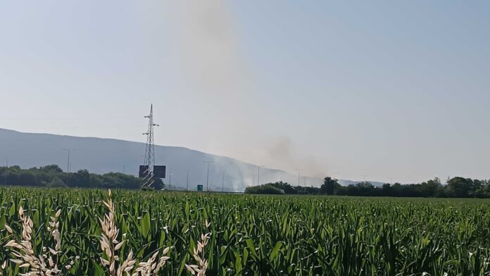 Požar kod Trupalskih šuma lokalizovan, nije bilo povređenih