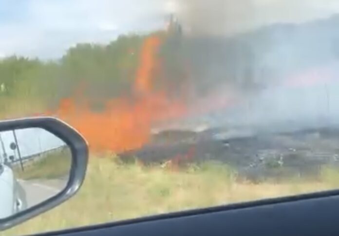 Požar kod niškog Aerodroma, vatrogasci na terenu