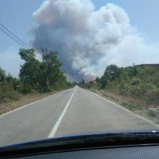 Požar u Hrvatskoj van kontrole: Vetar razbuktao vatrenu stihiju, vatrogasci nemoćni (FOTO)