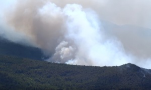Požar  u Makarskoj ne jenjava: Turisti i meštani hitno evakuisani (FOTO, VIDEO)